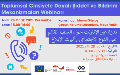 28 Ocak 2021 | Toplumsal Cinsiyete Dayalı Şiddet ve Bildirim Mekanizmaları Webinarı’na davetlisiniz!