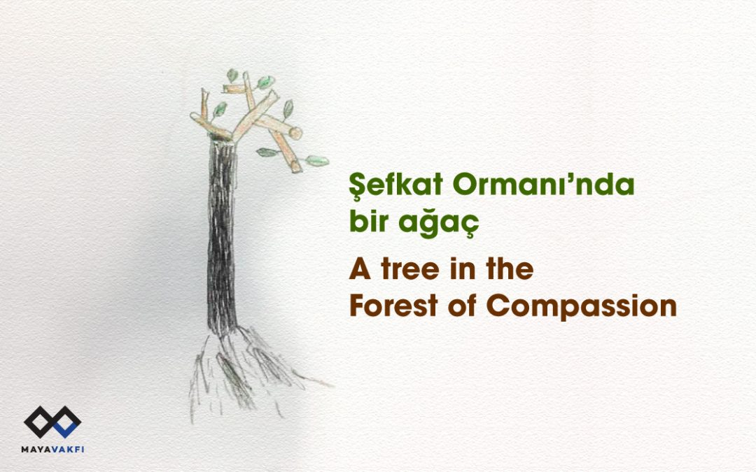 A Tree in the Forest of Compassion